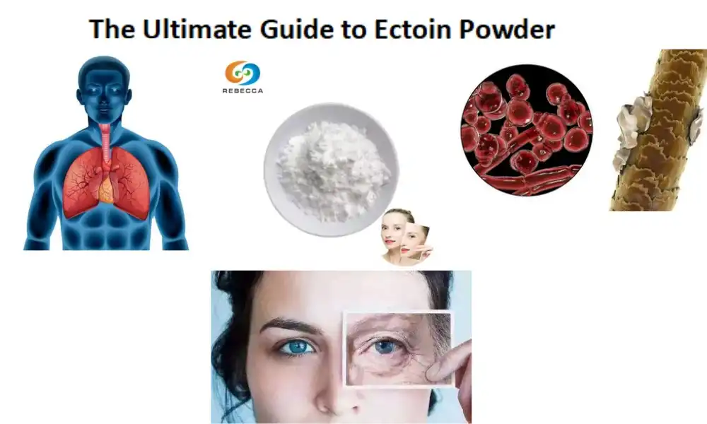 The Ultimate Guide to Ectoin Powder